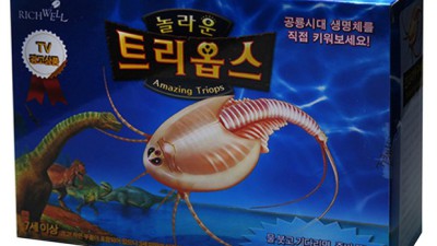 트리옵스 키우기: 꿀팁 가득한 나만의 수조 만들기 ✨